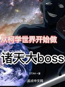 ӿѧ翪ʼboss