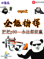 CSGO֮ȫָ